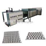 hot sales Automatic fruit tray machine factory