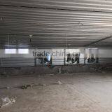 CHICKEN FARM BUILDING DESIGN thumbnail-3