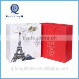 Custom Paper Bag Birthday Gift Paper Bag thumbnail-1