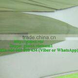 Sushi Japan Bamboo Leaf Package thumbnail-3