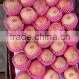 2015 Crop Cold Store Fuji Apple thumbnail-2