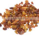 RAISIN MALAYAR