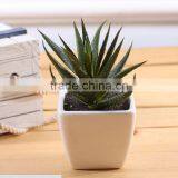 Mini Artificial Barbados Aloe With Pot