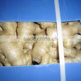 New Crop China Fresh Ginger for Sale thumbnail-5