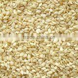 Best Price Hulled Sesame Seeds for Importers thumbnail-1