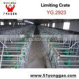 Galvanized Pipe Pig Equipment Gestation Slat Pig Limit Crate thumbnail-3
