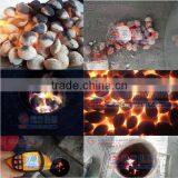 Round Ball Shape Coke Powder Briquette Press Machine Powder Compress Machine thumbnail-6