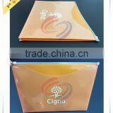 Customized Plastic Zipper File Folder Bag
