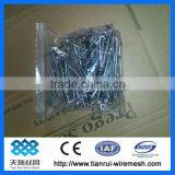 Professional Round Wire Nail (Factory) thumbnail-1