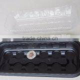 Seeds Starter Pellets thumbnail-2