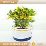 Canvas Herb Planter Pots Cheap Plant Pot 2017 New Arrrivals thumbnail-2