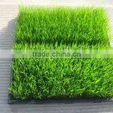 New Coming Excellent Quality Low Price Black Seedling Plug Tray thumbnail-3