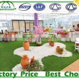 Home Greenhouse for Sale thumbnail-5