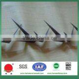 Anti Climb Sharp Wall Spike on Top of Wall and Fence thumbnail-4