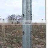 Galvanzied Grape Post