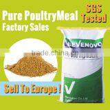 Poultry Protein Meal 65% Protein