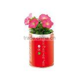 Tin Flower,Can Flower,Petunia Seeds in a Tin thumbnail-2