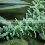 Green Wall Screen Artificial (108X28cm) Artificial Plant and Flower thumbnail-1