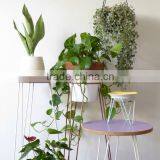 White Metal Wire Plant Stand Mid-Century Inspired thumbnail-4