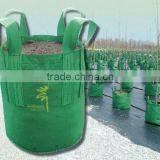 standing plant bag