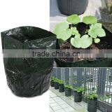 Potato Planter Bag thumbnail-4