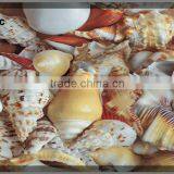 High Gloss Acrylic uv Marble Boards thumbnail-2