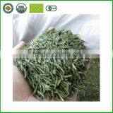 Long Leaf Factory Chinese Organic Green Tea Wholesale thumbnail-1