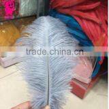 Wholesale Fashion Multicolor Decotation Ostrich Feather for Party and Wedding thumbnail-4