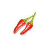 India Chilli thumbnail-1
