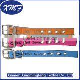Custom Logo CAT AND DOG COLLARS thumbnail-6