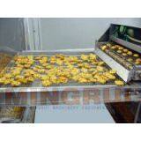 Tunnel-Type frying equipments
