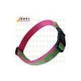 Pet Collars thumbnail-1