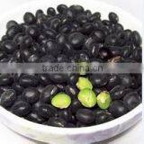 Organic Black Bean With Green Kernel thumbnail-2