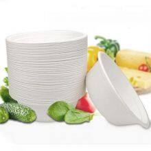 Disposable Biodegradable ODM White Sugar Cane Soup Bowls-bagasse 500ml Soup Bowls-biodegradable Dishes, Soup Bowls, Pasta Plates, Serving Bowls thumbnail-3