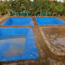 Black Blue Agriculture Reinforced Polyethylene Pond Liner 250GSM Waterproof Membrane For Fish Pond 20*30M thumbnail-5