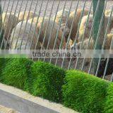 Hydroponic Sprouted Grains Machine for Livestock,animal,cattle,sheep thumbnail-2