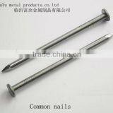 Flat Head Iron Nail
