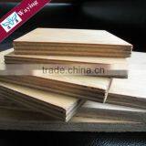 Hardwood Core Both Side Melamine Faced Plywood for Australia Market thumbnail-6