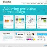 Affordable Website Designing Services