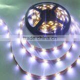 7.2W SMD 5050 Rgb Flexible Led Strip With CE ROHS