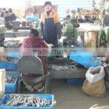 Shaoxing Forward Electrical Equipment Co., Ltd. company overview - view 2 thumbnail