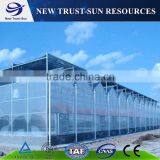 Best Selling PC Sheet/board Agricultural Greenhouse for Sale thumbnail-3