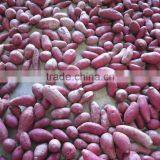 Exporter Supply Yummy Fresh Purple Sweet Potato thumbnail-3