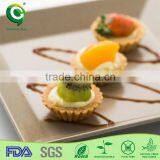 Fashion Design Biodegrable and Wholesale Simple Square Plate thumbnail-4