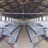 China Factory Produce H Type Baby Chicks Cage thumbnail-6