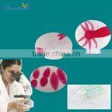 15pcs Zoology Prepared Slides Set From Primary Students