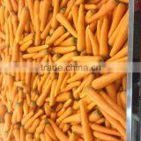Fresh Stytle Fresh Vegetable Fresh Carrot From China thumbnail-1