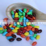 Korean Food HACCP Certification Top Quality Chocolate Coated Sunflower Seeds thumbnail-4