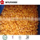IQF Frozen Apricot Dices Best Price Good Quality thumbnail-2