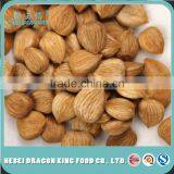 100% Nature Sweet Apricot Kernels thumbnail-1